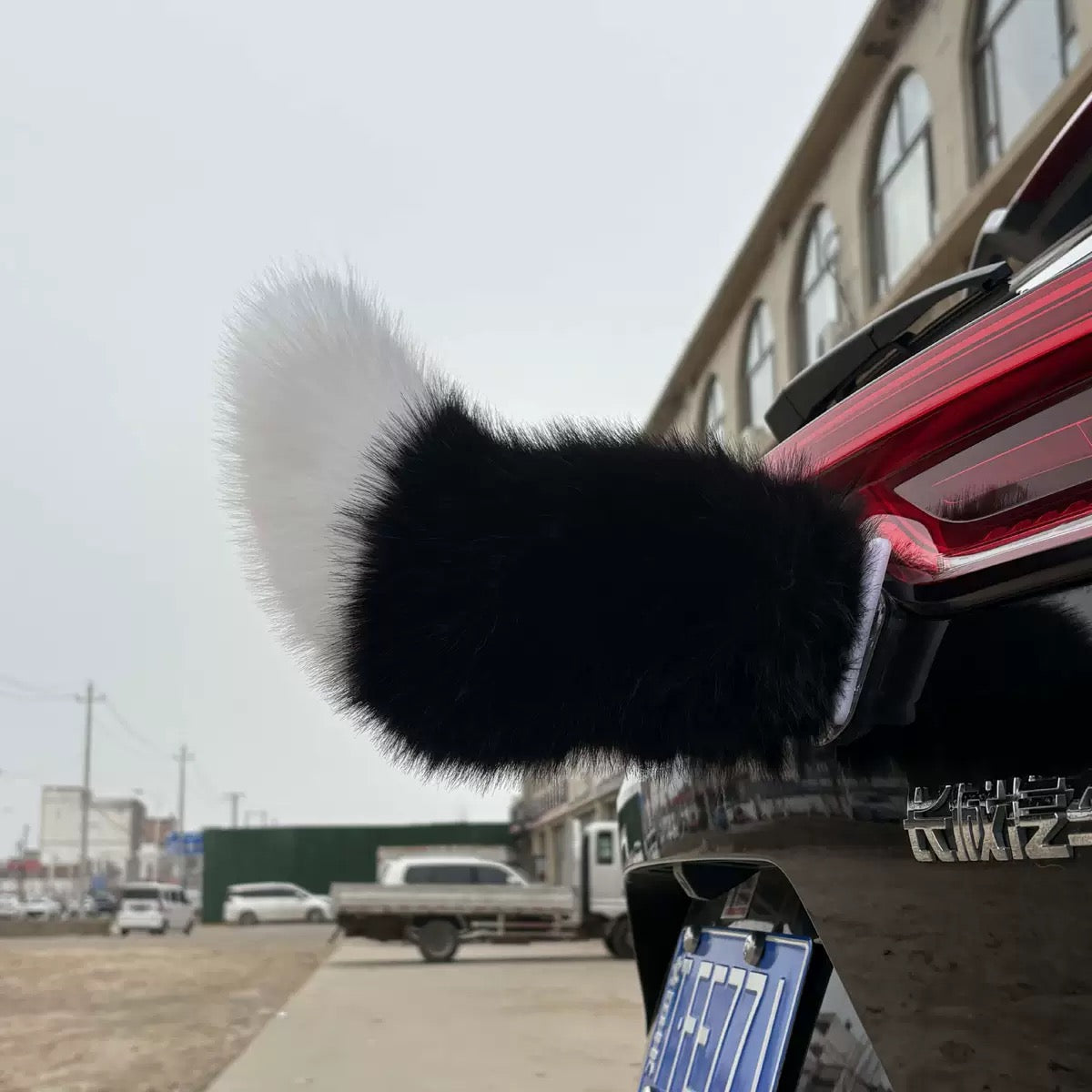 Tail Rush – Electric Wagging Fur Tail for Car & Bike | Voice & Remote Control