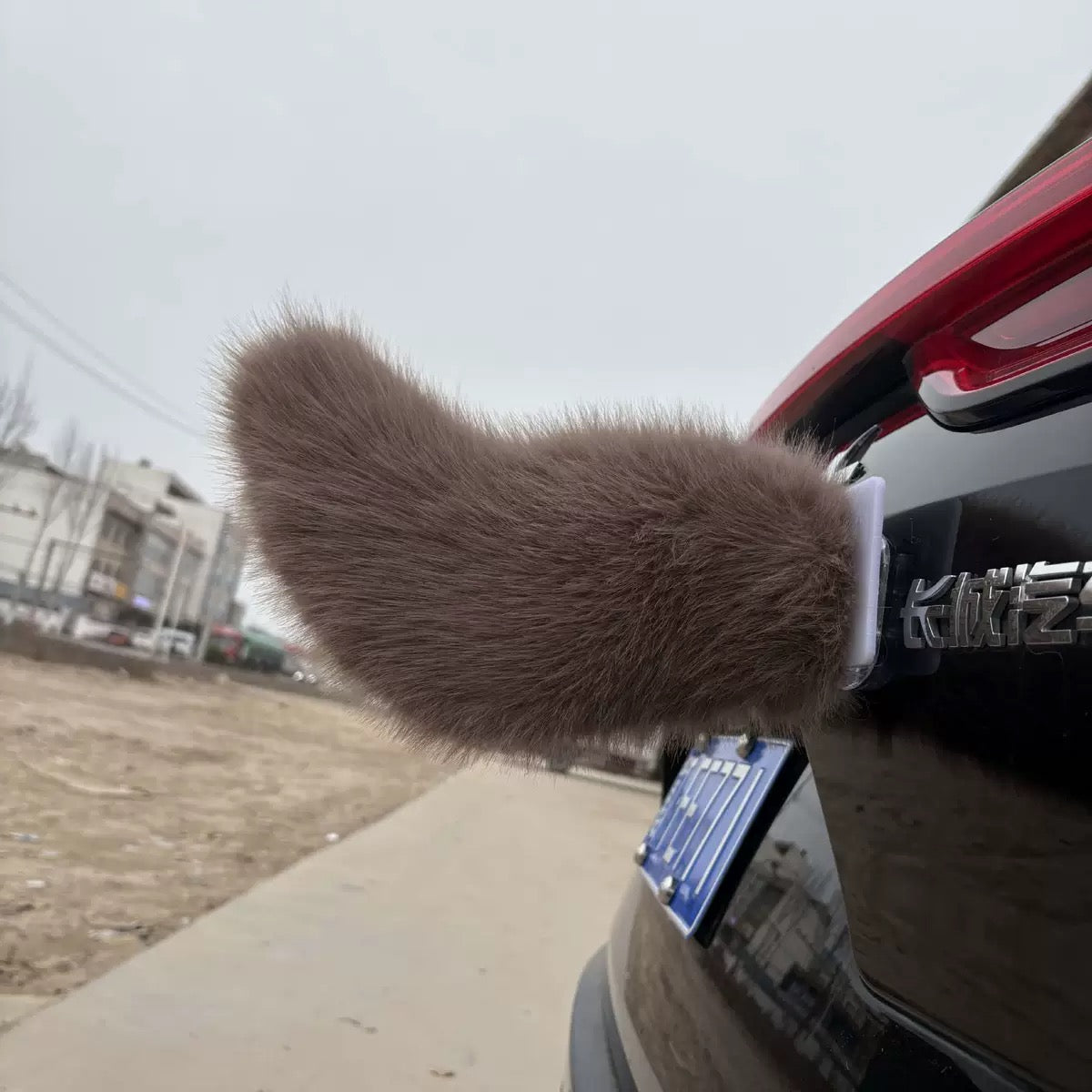 Tail Rush – Electric Wagging Fur Tail for Car & Bike | Voice & Remote Control