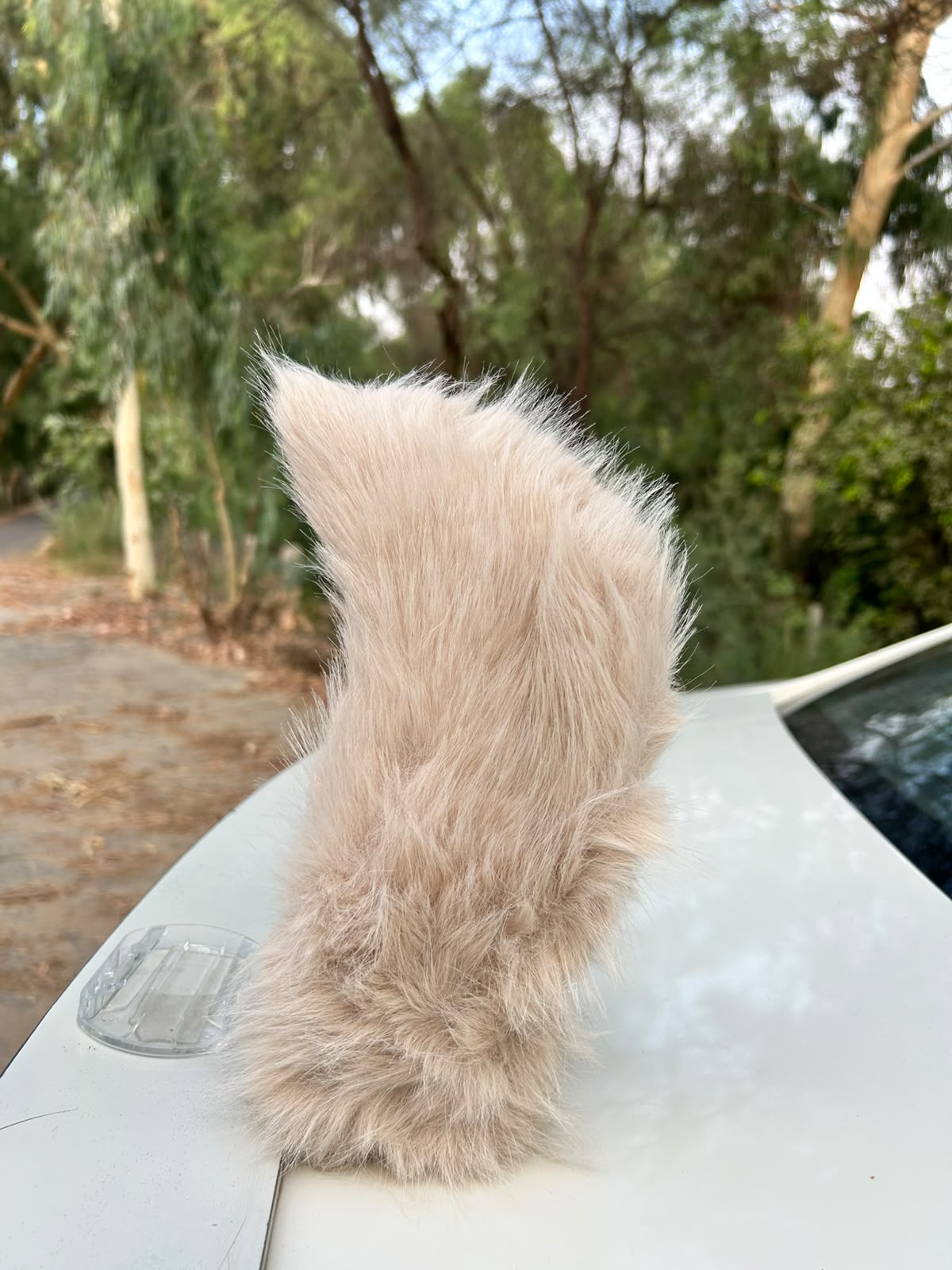 Tail Rush – Electric Wagging Fur Tail for Car & Bike | Voice & Remote Control